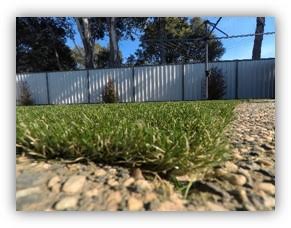 Summer Envy Install. Prospect.